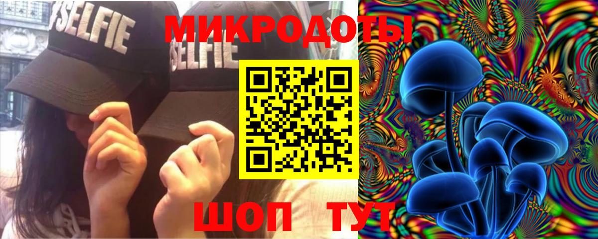 Псилоцибиновые грибы Psilocybe  Вход с VPN  Шуя 